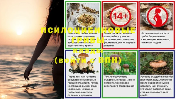 бошки Аша