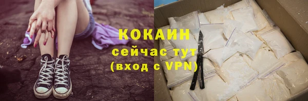 гашик Богородицк