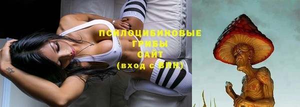 винт Баксан