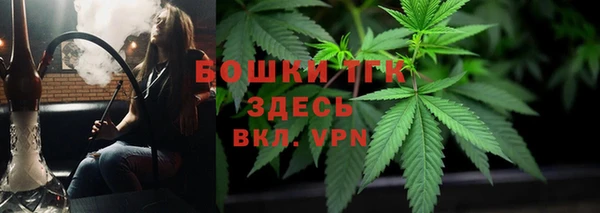 стаф Верея
