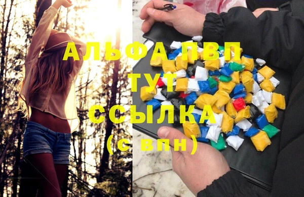 гашик Богородицк