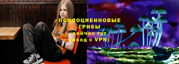 гашик Богородицк