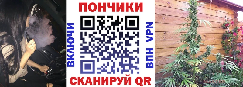 где найти наркотики  Гаврилов-Ям  Бошки Шишки план 